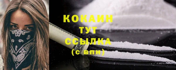 ПСИЛОЦИБИНОВЫЕ ГРИБЫ Белокуриха