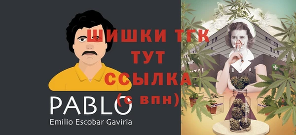 тгк Беломорск