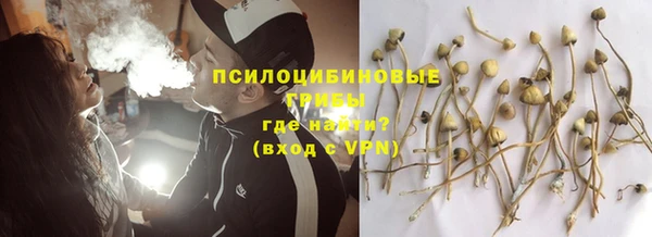 тгк Беломорск