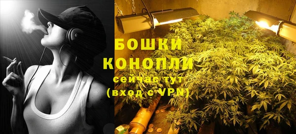 ПСИЛОЦИБИНОВЫЕ ГРИБЫ Белокуриха