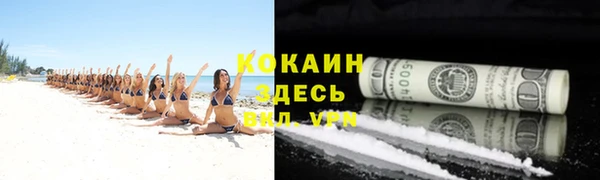 ПСИЛОЦИБИНОВЫЕ ГРИБЫ Белокуриха