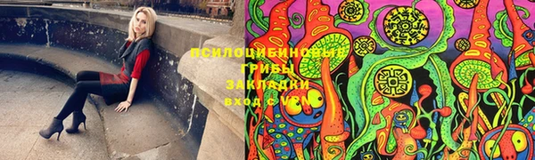 соль ск Пестово