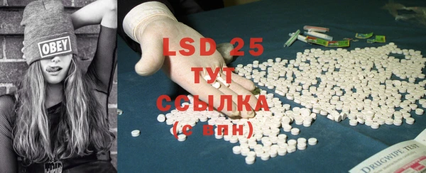 ПСИЛОЦИБИНОВЫЕ ГРИБЫ Белокуриха