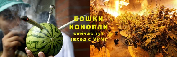 ПСИЛОЦИБИНОВЫЕ ГРИБЫ Белокуриха