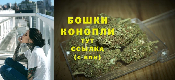 ПСИЛОЦИБИНОВЫЕ ГРИБЫ Белокуриха